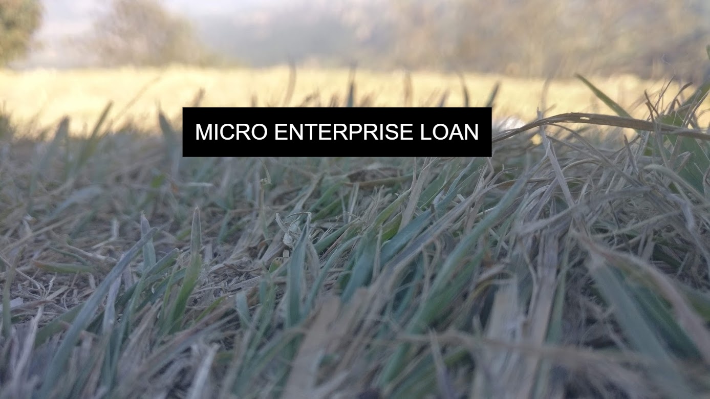 MICRO ENTERPRISE LOAN